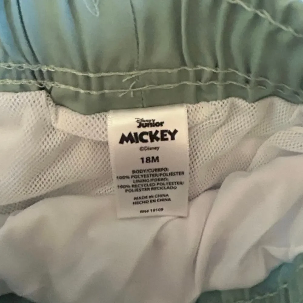 Disney mickey mouse
